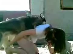 A brunette's pet husky gets her screwed.